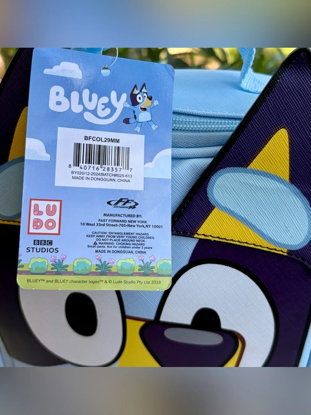 Bluey cute character